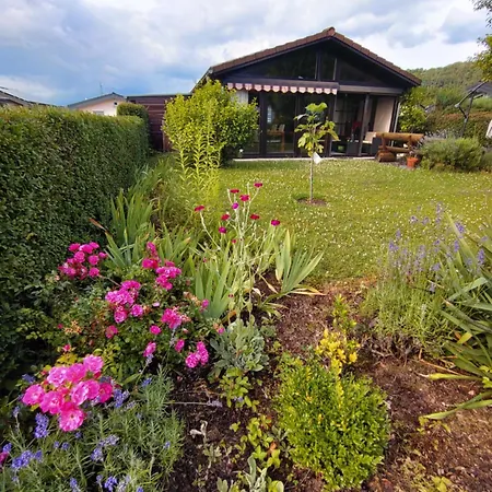 Max In Koblenz-guels Am Guelser Moselbogen * Koblenz (Rhineland-Palatinate)